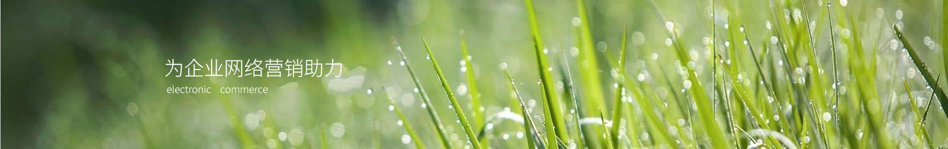 ݸнƾܻе޹˾